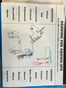 Daddy asked me to color him a picture, so I made this for him. (Hee hee)