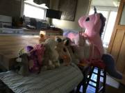 Silly Stuffies!! They think it's snack time... But it's too early.