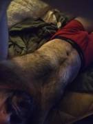 Hello bears and admirers!