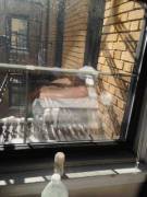 stroking in the window