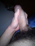 Do you like bush on big cock?