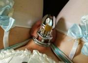 2 weeks of chastity, still going strong!