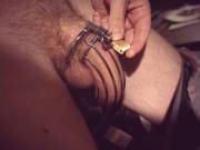 locked up for the night again...