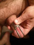 New cage! 4g P.A. Miss says to post :)