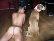 Lucky dog