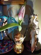 Beauty always finds a way to show itself off :) [SFW]