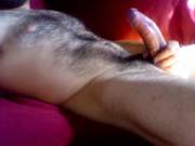 Took a pic for my ladyfriend, but, ah, I'll share it here, too.