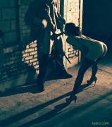 Sucking cock on the street