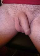 Only just discovered this place, interested in comments