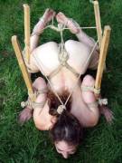 [F] This is my kind of contraption