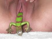 That's probably plastic. I hope that's plastic.