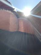 Got a quick pic in the sun today