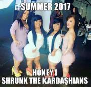 Lil Kardashians (X-r/PostGoingToHellForThis)