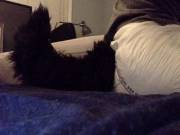 Padded with a fluffy tail for snuggles <3