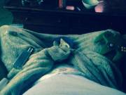 Saturday with the house to myself.