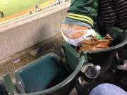 Visible thong at the ball game …
