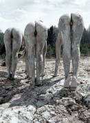 photographer Vasily Tikhomirov, unknown models