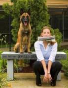 It took time, but any bitch can be trained.