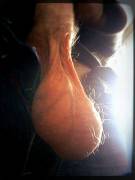 Letting the sun touch them.