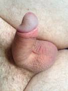 Semi in the morning. Anyone up for trades? PM me!