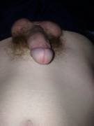 A cock in it's natural habitat! ;)