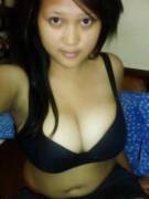 Beast from the southeast