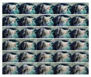 Still not sure how I ended up here