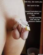 First shot at making a few captions. Hints of cuckolding and humiliation theme in a few. Hope you enjoy!