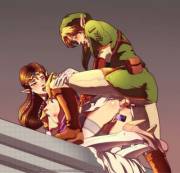 Link &amp; Zelda (x-post /r/rule34)