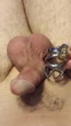 Next to my chastity cage... I think I might be a bit on the small side :(