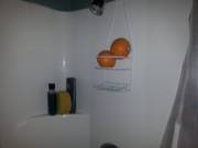 The mighty citrus sits apon its rightful throne.