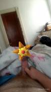 Staryu decorates my dong
