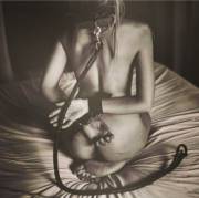 Restraints and leash