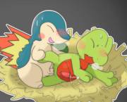 Treecko [M] spending time with his partner, Cyndaquil [M]