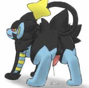 [M] Luxray's Rear