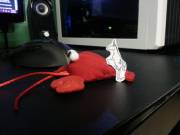 Do you know what day it is TVU?