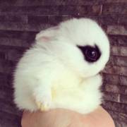 No make up. No filter