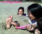 Buried in the sand: 42 images