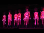 Cabaret from "Le Crazy Horse" in Madrid