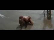 To Everyone Who Requested the KU Change: