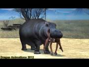 I just found this channel..