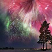 So majestic. (xpost /r/trashy)